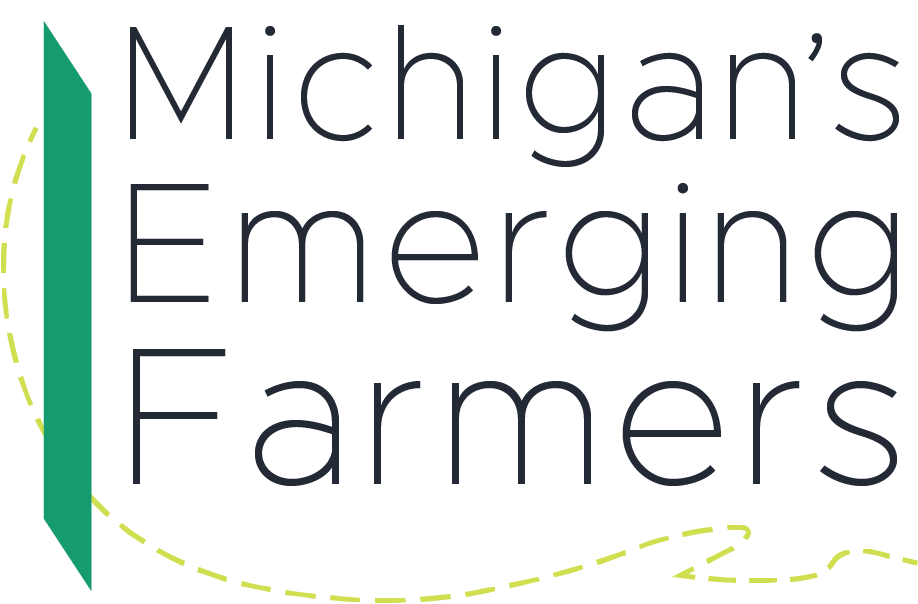 MEF logo navy.png